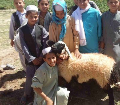 Boys Education-Zara (6)