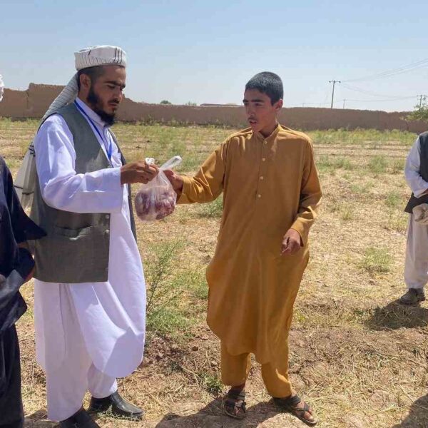 Qurbani-Zara (8) Qurbani Zara (8)