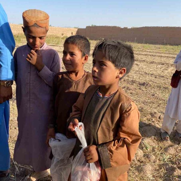 Qurbani-Zara (9) Qurbani Zara (9)